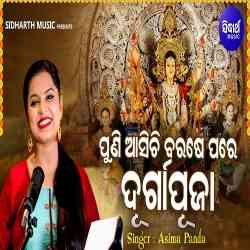 Puni Asichi Barase Pare Durga Puja